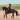 Equestrian Stockholm Dressurunderlag Bordeaux Cob 152340609 01